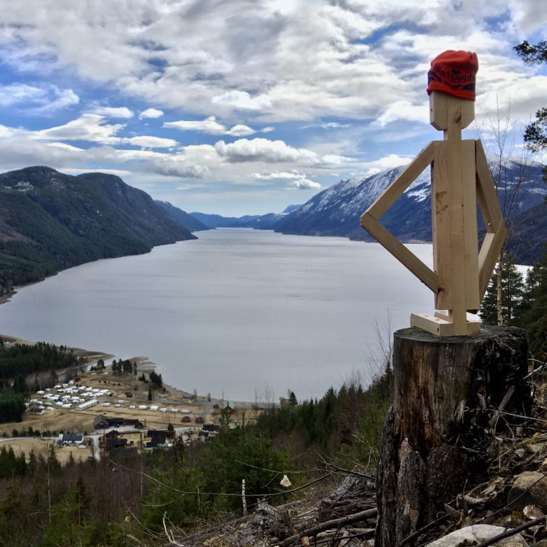 tretroll i skogen