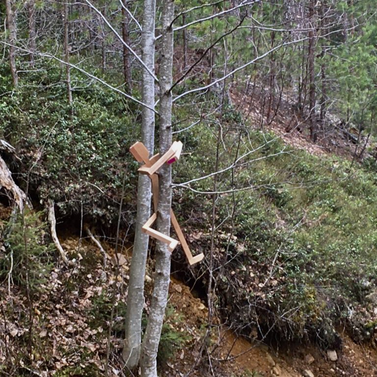tretroll i skogen