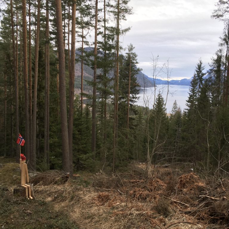 tretroll i skogen