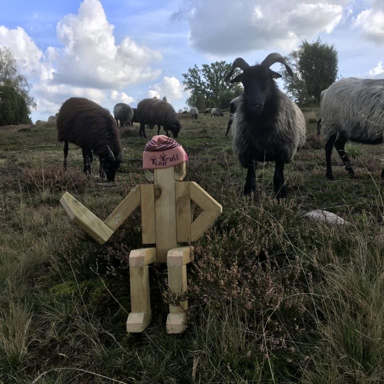 TinnTroll