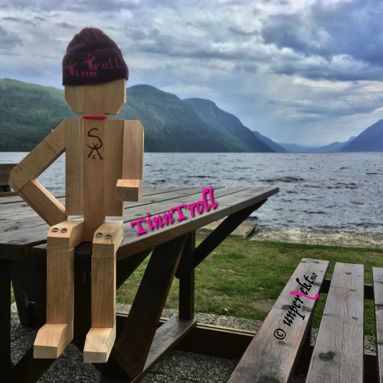 TinnTroll